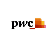 Logo PWC - Partner Visualitics