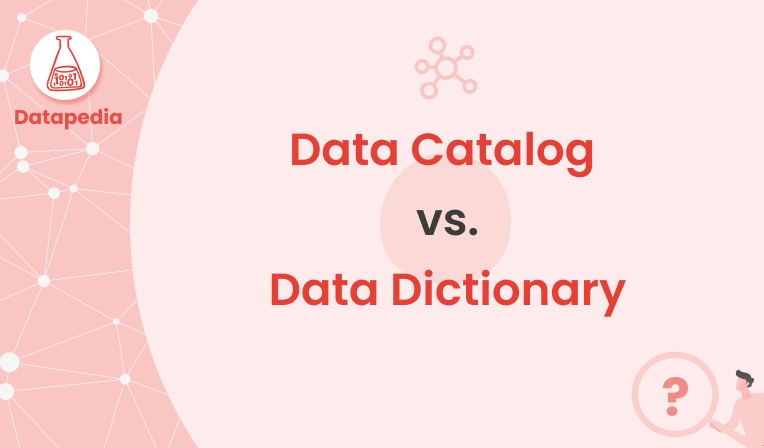 Data Catalog Data Dictionary